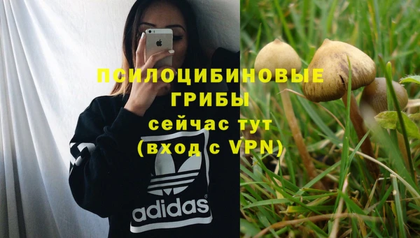 ALPHA-PVP Аркадак