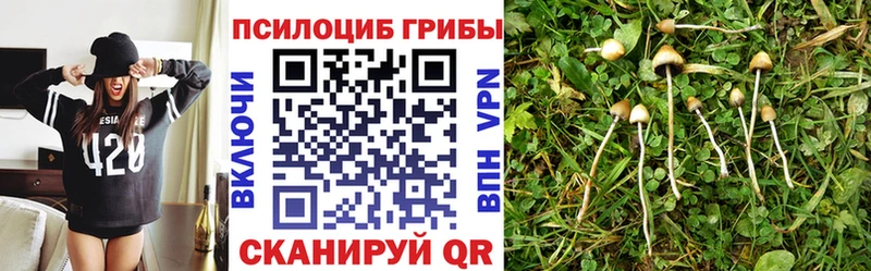 Галлюциногенные грибы Magic Shrooms  наркотики  kraken tor  Нытва 